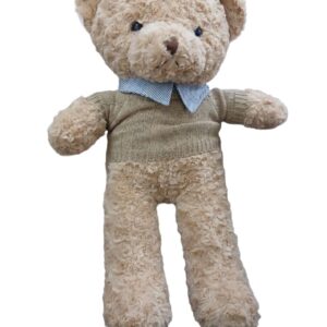 Teddy bear plush