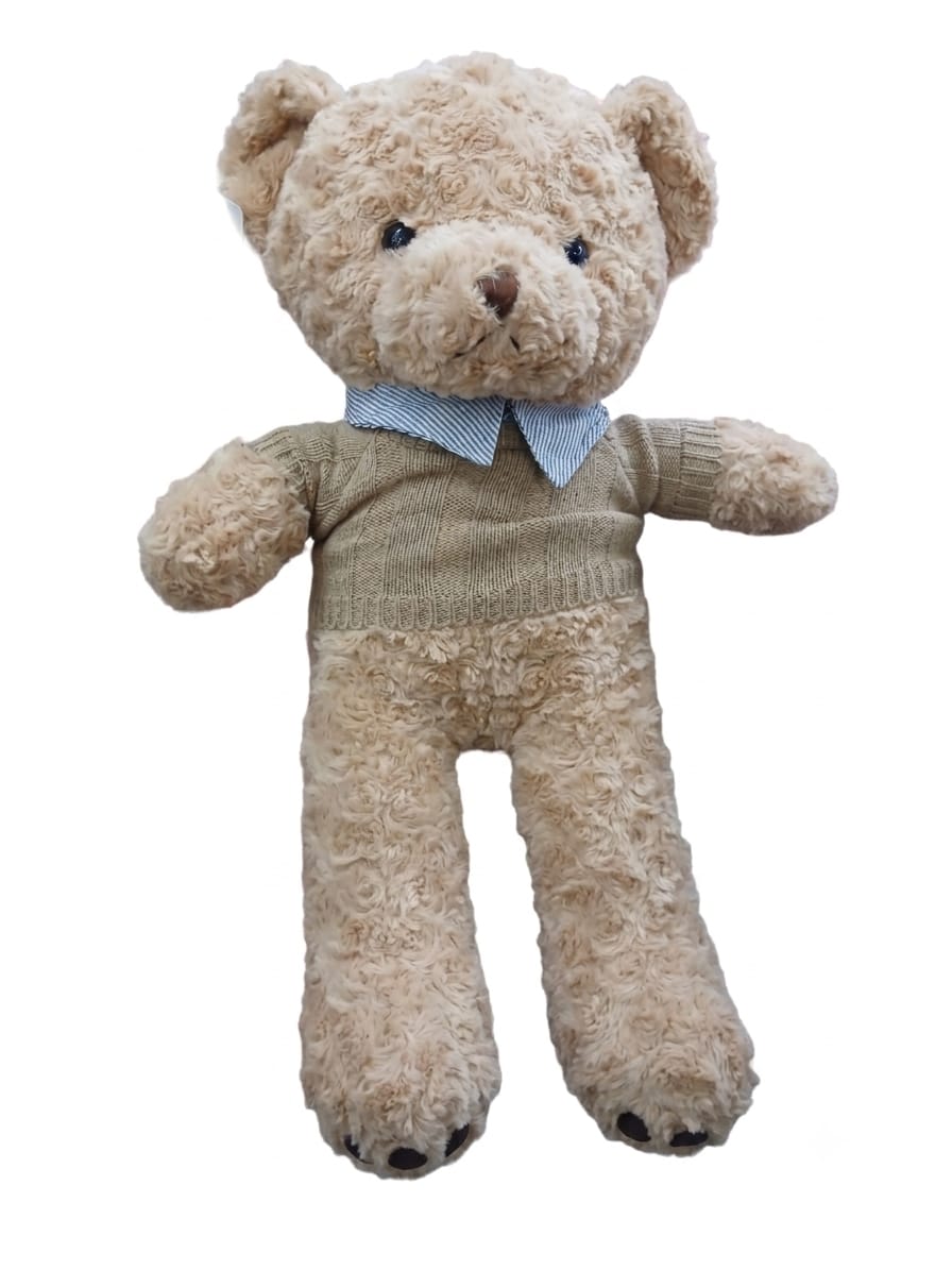 Teddy bear plush